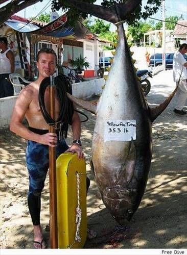 Denizden çıkan canavarlar