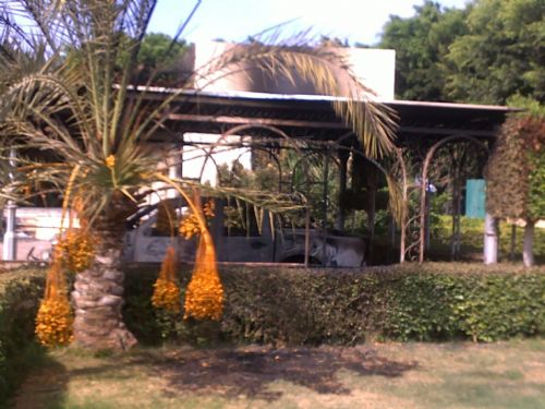 Libya'daki saldırılarının karanlık noktaları