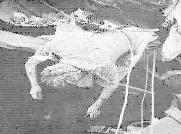 Sabra ve Şatilla katliamı