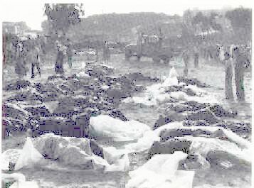 Sabra ve Şatilla katliamı