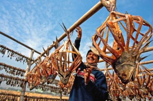 En iyi yoksulluk fotoğrafı bizden