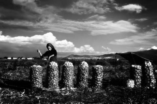 En iyi yoksulluk fotoğrafı bizden