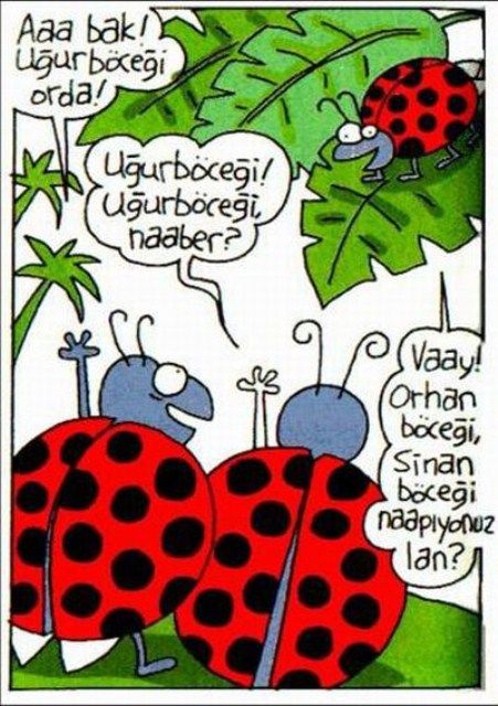 Kahkaha krizine sokan karikatürler