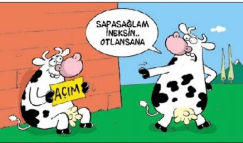 Kahkaha krizine sokan karikatürler