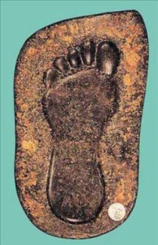 Peygamberimizin kişisel eşyaları