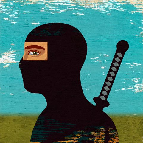 Ninjaların sırları ve son ninjalar