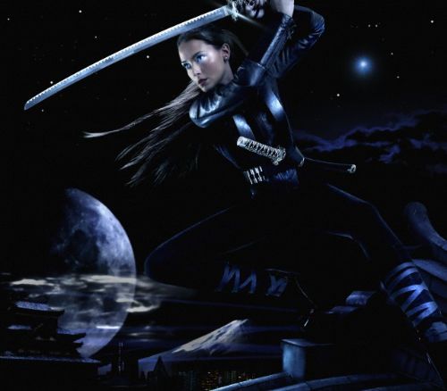 Ninjaların sırları ve son ninjalar