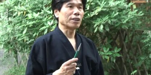 Ninjaların sırları ve son ninjalar