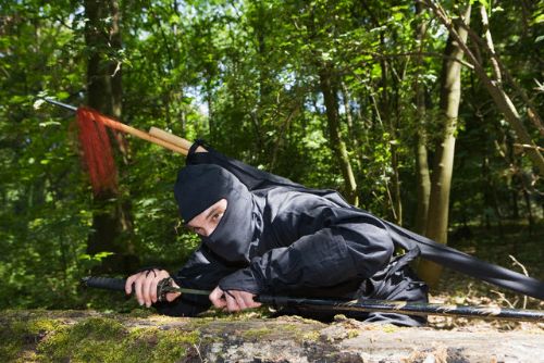 Ninjaların sırları ve son ninjalar