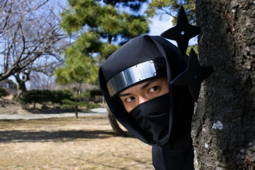 Ninjaların sırları ve son ninjalar