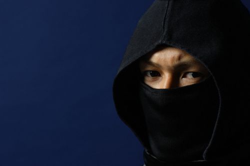 Ninjaların sırları ve son ninjalar