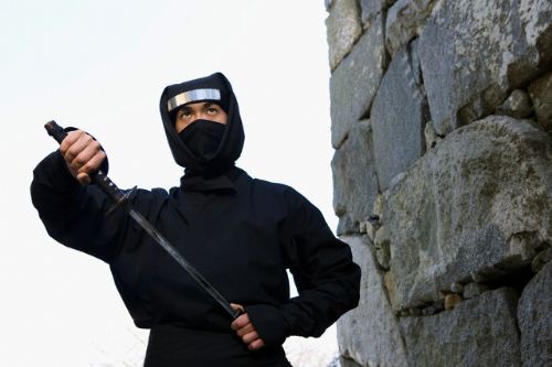 Ninjaların sırları ve son ninjalar