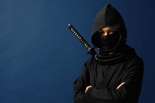 Ninjaların sırları ve son ninjalar