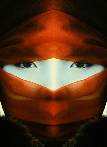 Ninjaların sırları ve son ninjalar