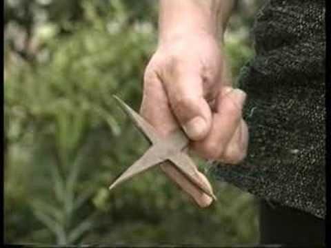 Ninjaların sırları ve son ninjalar