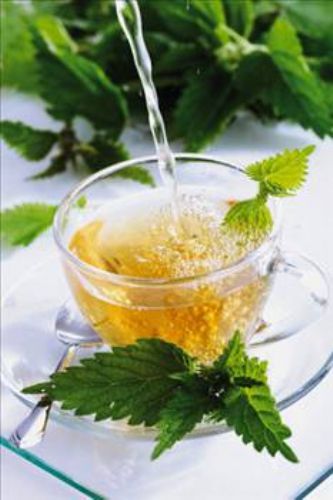 Isırgan otunun faydaları