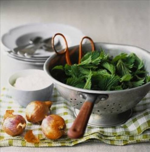 Isırgan otunun faydaları