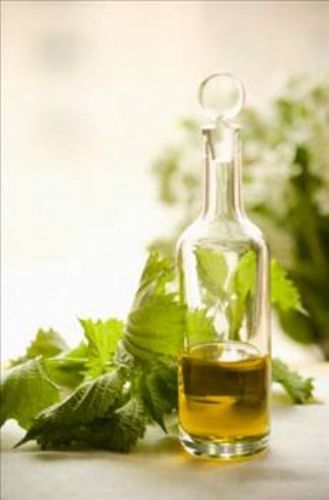 Isırgan otunun faydaları