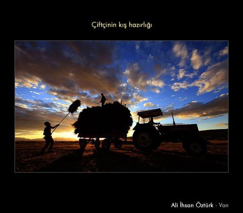 Yılın ''Yaşam'' fotoğrafı