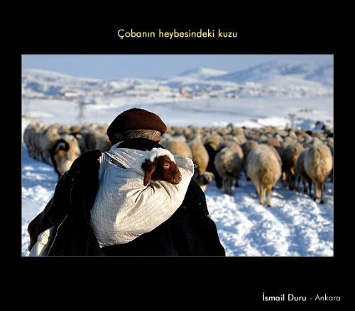 Yılın ''Yaşam'' fotoğrafı