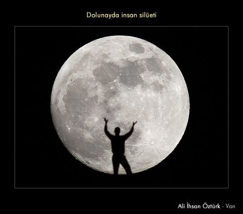 Yılın ''Yaşam'' fotoğrafı