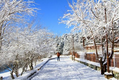 Yurt genelinden kar manzaraları