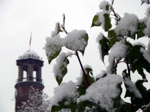 Yurt genelinden kar manzaraları