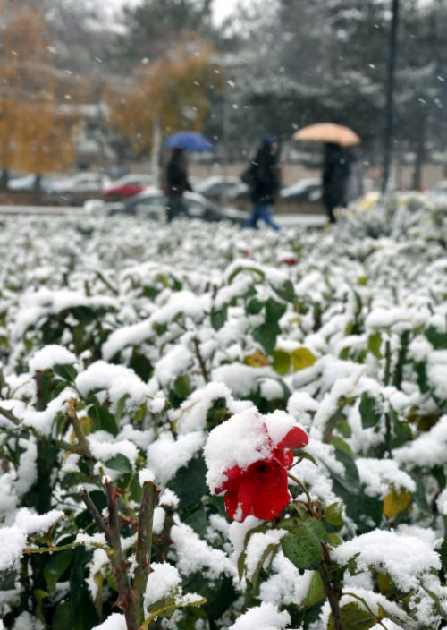 Yurt genelinden kar manzaraları