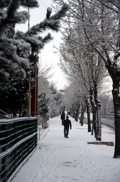 Yurt genelinden kar manzaraları