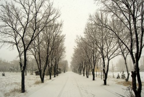 Yurt genelinden kar manzaraları