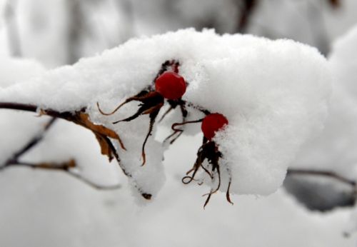 Yurt genelinden kar manzaraları