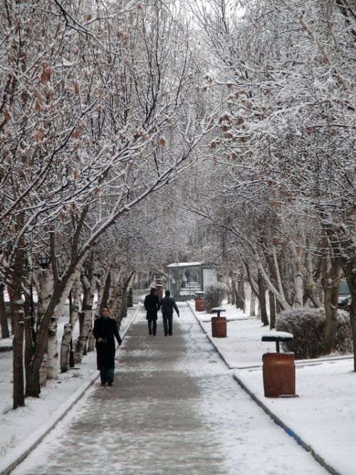 Yurt genelinden kar manzaraları