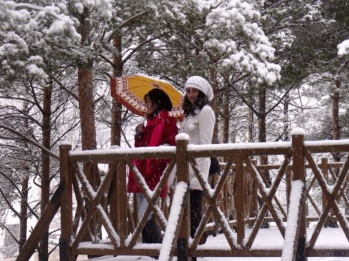 Yurt genelinden kar manzaraları