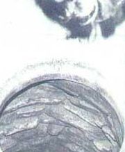 Ayasofya'nın şaşırtan gizemleri