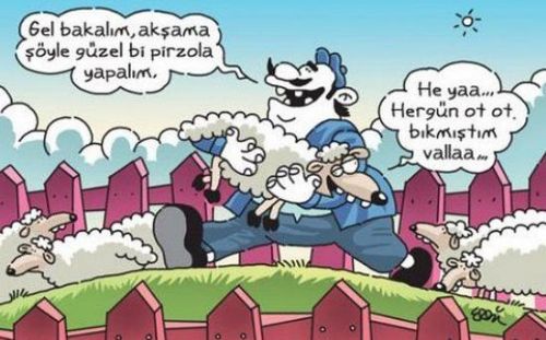 Güncel Karikatürler
