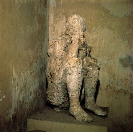 Pompeiide taşlaşmış at kalıntıları bulundu 85
