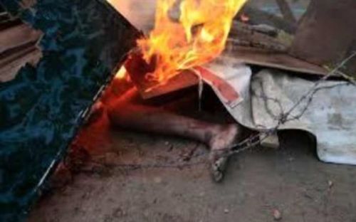 Myanmar'da Budist katiller dehşet saçıyor!