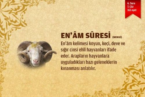 Sure isimlerinin manalarını biliyor musunuz?