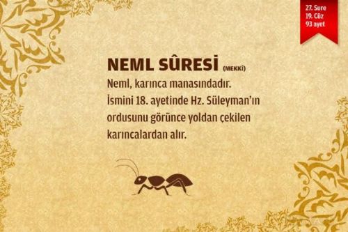 Sure isimlerinin manalarını biliyor musunuz?