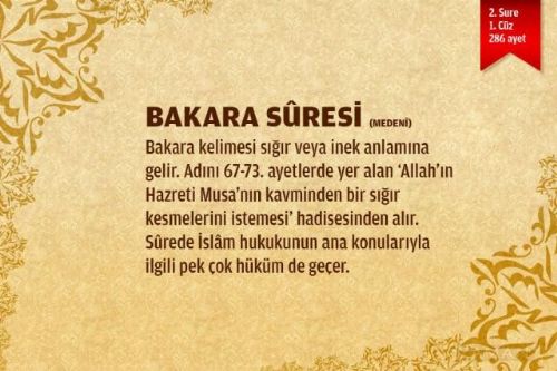 Sure isimlerinin manalarını biliyor musunuz?