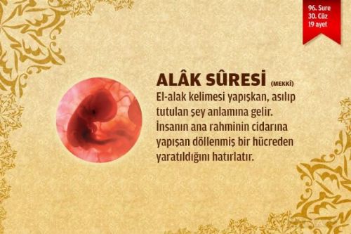 Sure isimlerinin manalarını biliyor musunuz?