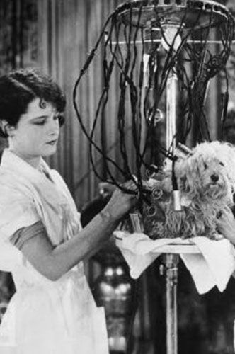 Kadın mucitler ve icatları