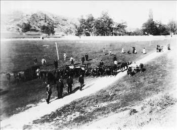 Kanuni Sultan Süleyman'ın hayatı