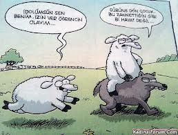 En komik karikatürler