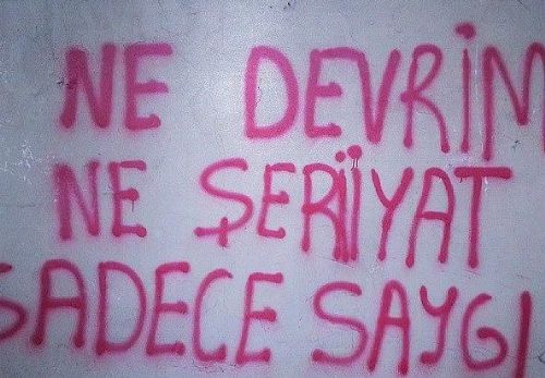 Gezi Parkı eylemlerinde öne çıkan ilginç pankartlar