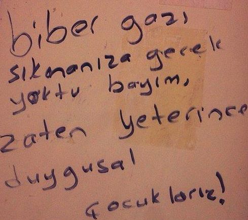 Gezi Parkı eylemlerinde öne çıkan ilginç pankartlar