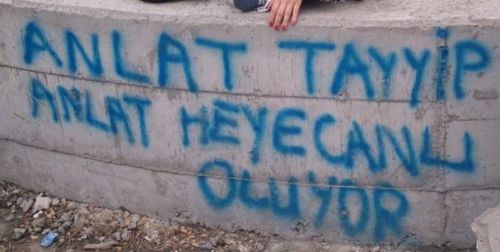 Gezi Parkı eylemlerinde öne çıkan ilginç pankartlar