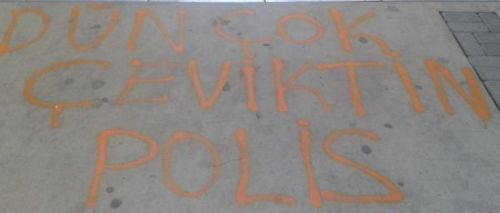 Gezi Parkı eylemlerinde öne çıkan ilginç pankartlar