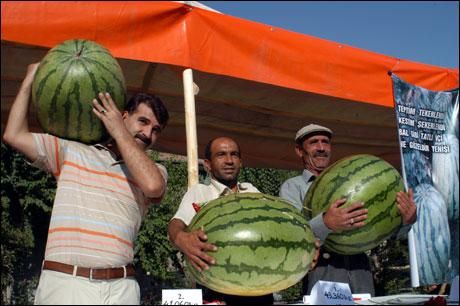 Hangi ilimizin nesi meşhur?