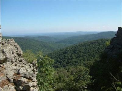 Hangi ilimizin nesi meşhur?